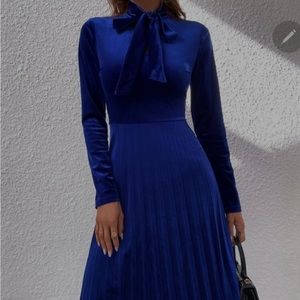 Pleated Velvet Dress